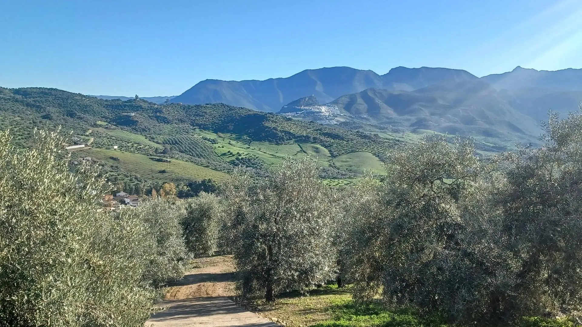 Casa Manuela. Algodonales Villa Holiday home