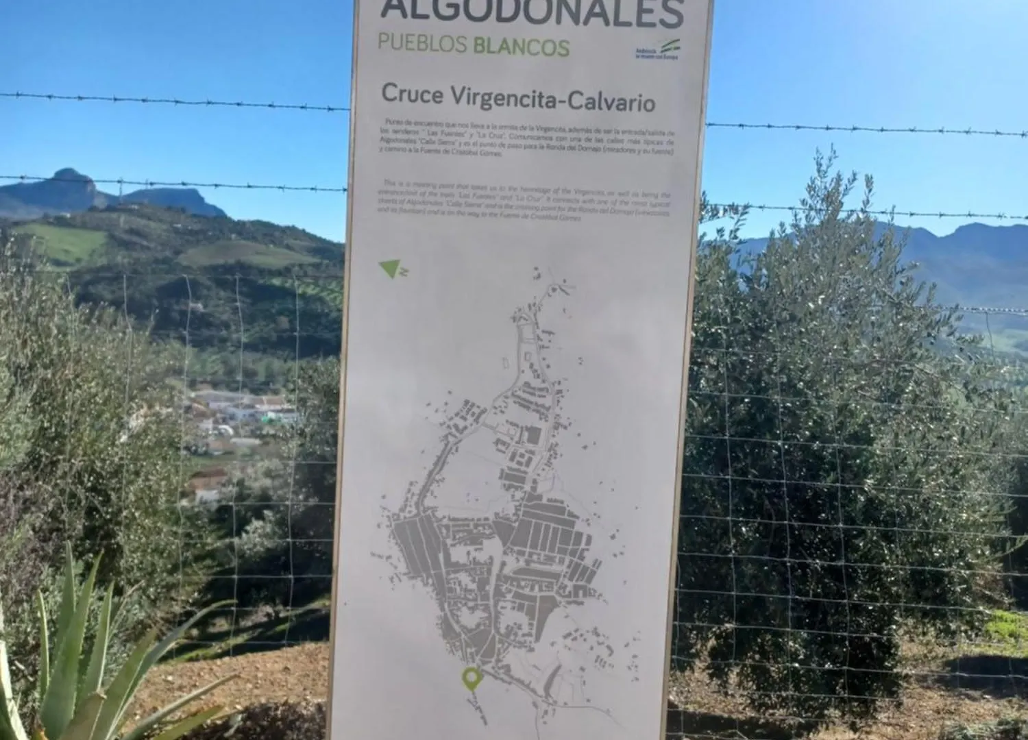 Holiday home Casa Manuela. Algodonales Villa Spain