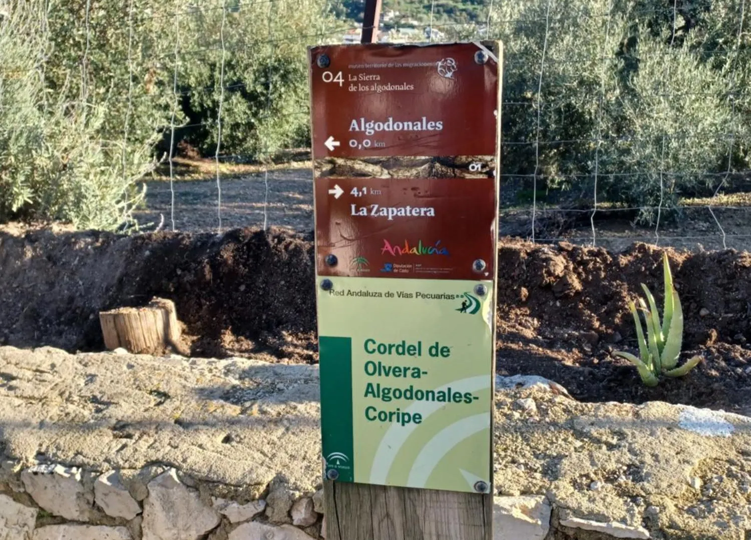 Holiday home Casa Manuela. Algodonales Villa