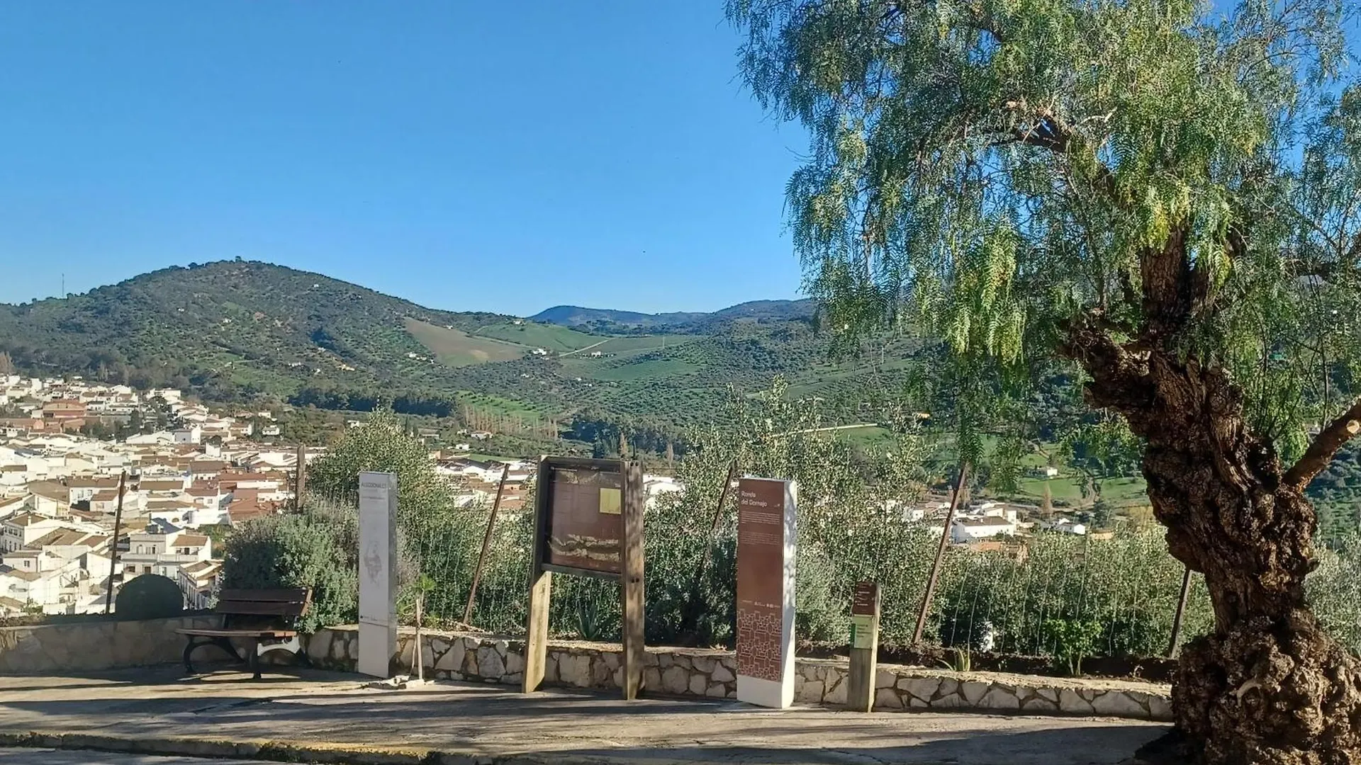Casa Manuela. Algodonales Villa