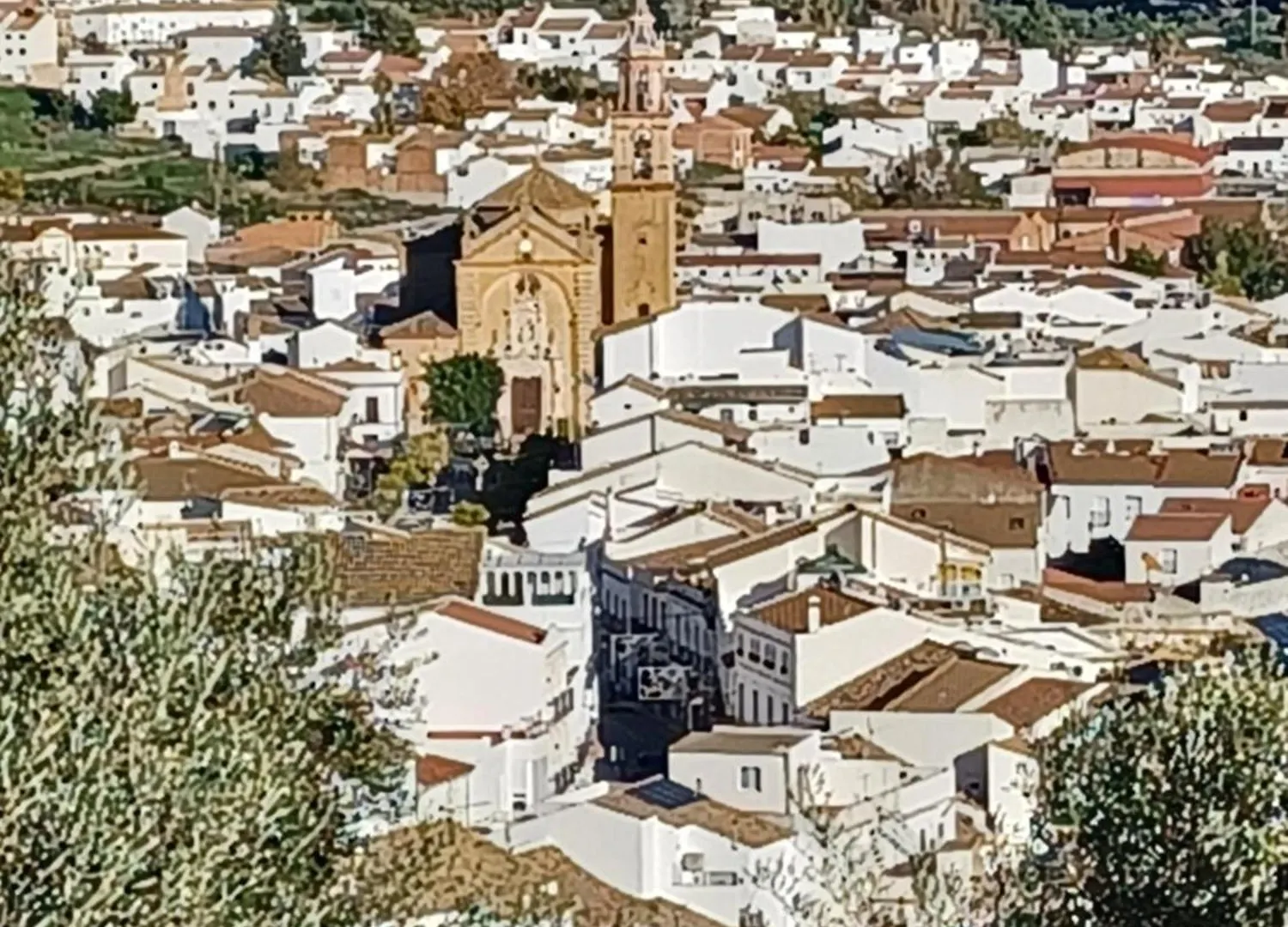 Casa Manuela. Algodonales Villa 0*,  Spain